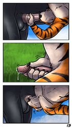 anthro balls barbed_penis comic duo equid equine fangs felid fellatio feral hi_res horse hufnaar male male/male mammal oral pantherine penetration penile penis servicing_from_below sex tiger zoophilia