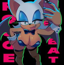 rouge the bat from sega by apsel bluestar