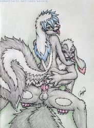 anthro ass bodily_fluids female green_eyes hybrid lagomorph leporid male mammal mephitid nayrin rabbit red_eyes saliva siba skunk skunkhase straight tongue vaginal_penetration