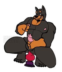 2019 anthro balls bob_miller_(v--r) canid canine canis claws dildo dobermann domestic_dog erection facial_hair feet fur goatee hi_res knot looking_pleasured male male_only mammal masturbation nipple_play nipples pecs penis pinscher riding sex_toy solo thick_thighs toy v--r