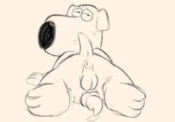 2019 absurd_res animal_genitalia animal_penis anthro anus ass backsack balls bedroom_eyes black_nose bodily_fluids brian_griffin canid canine canine_penis canis cum domestic_dog erection family_guy genital_fluids half-closed_eyes hi_res knot looking_at_viewer lying magzol male male_only mammal nude on_front on_model paws penis perineum presenting presenting_hindquarters seductive sketch solo tailwag