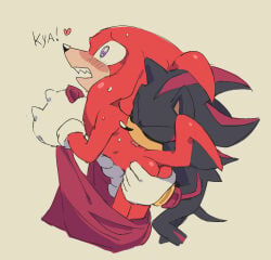 knuckles the echidna from sonic (series) by benshir