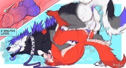 abs absurd_res anal anal_penetration animal_genitalia animal_penis anthro anthro_on_feral balls bestiality black_body black_fur blue_body blue_fur bodily_fluids bound canid canine canine_genitalia canine_penis claws collar dex_(weredemo) duo ear_piercing ear_ring erection facial_piercing fangs feet feral feral_on_top feral_penetrating fur genitals grey_body grey_fur hair hi_res knot knot_fucking knot_root knotted_penis knotting leash male male/male male_feral male_on_bottom male_penetrated male_penetrating male_penetrating_male mammal mythological_canine mythological_creature mythology nude on_bottom open_mouth penetration penis penis_poking_out petting piercing red_body red_fur ring_piercing sex sheath simple_background size_difference smile tail tail_motion teeth text tongue werecanid werecanine werecreature weredemo werewolf white_body white_fur