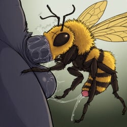 2boys 4_legs abdomen ai_generated anonymous_male bee cum cum_in_mouth deepthroat fellatio gay insect migalones wings zoophilia