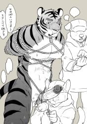 absurd_res anthro ball_bondage ball_rope baseball_cap bdsm bodily_fluids bondage bottomwear bound canid canine canis clothed clothing dialogue doggycoffee domestic_cat domestic_dog erection felid feline felis foreskin genital_rope genitals group hands_behind_back hat headgear headwear hi_res hoodie humanoid_genitalia humanoid_penis japanese_text male male/male mammal mouth_closed nervous nude obscured_eyes open_mouth pantherine pants penis penis_bondage penis_rope restraints retracted_foreskin rope rope_bondage rope_harness simple_background sweat text tiger topwear trio vein veiny_penis