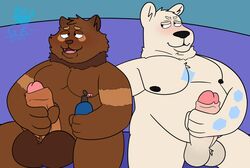 2019 absurd_res anthro balls big_balls brown_body brown_fur bunnybara canid canine duo fur gay group_masturbation hi_res humanoid_hands humanoid_penis male mammal masturbation moobs nipples overweight overweight_male penile penile_masturbation penis polar_bear raccoon_dog sitting tanuki ursid ursine white_body white_fur