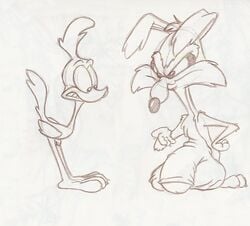 anthro avian coyote furry hyper looney_tunes male_only mammal road_runner_(looney_tunes) roadrunner soft_feathers tagme wile_e._coyote