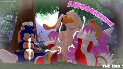 amy rose from couch co-op by leviantan581re