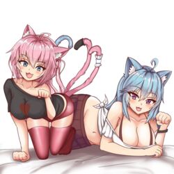 blue_hair cat_ears female itsumi_(kaptivate) kaptivate leggings nekomia_(kaptivate) pink_hair tail