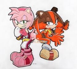 amy rose from sega by misshiirin