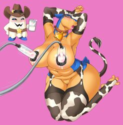 original character from nintendo by ipan