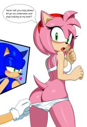 Sonic (Series) Rule 34 Image