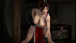 1girls 3d animated areolae big_breasts bouncing_breasts breasts dpmaker fatal_fury female female_only king_of_fighters large_breasts mai_shiranui nipples no_sound solo source_filmmaker video