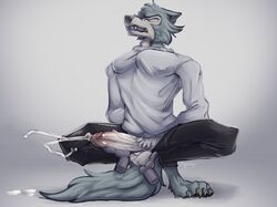 2019 anthro beastars bodily_fluids canid canine canis closed_eyes crouching cum disembodied_hand drooling eggubboyo_(artist) erection feet genital_fluids handjob hands_behind_back hi_res humanoid_penis legoshi_(beastars) male male_only mammal orgasm orgasm_face paws penile penis saliva sex teenager wolf young