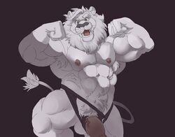 2019 abs anthro balls biceps black_nose clothing erection felid flexing fur ghoskee green_eyes hi_res jockstrap lion looking_at_viewer male male_only mammal mostly_nude muscular muscular_male nipples open_mouth pantherine pecs penis pubes simple_background solo torn_clothing underwear whiskers white_body white_fur