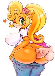 1boy 1girls absurd_res anal_penetration anal_sex anthro ass bandicoot big_ass blonde_hair breasts clothing coco_bandicoot computer crash_(series) electronics female flower furry furry_only green_eyes hair hair_flower heart highres laptop large_ass male mammal matospectoru one_eye_closed orange_fur pants pants_down penis ponytail sideboob video_games
