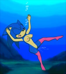 1girls anthro aquaphilia asphyxiation bodyswap cum cumming death drown drowning female female_death gender_bender hedgehog nude rule_63 sea sega snuff solo sonic_(series) sonic_the_hedgehog sonic_the_hedgehog_(series) sonique_the_hedgehog squirt squirting tagme transformation tsf underwater water yurifurryuw