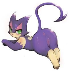 a_cat_is_fine_too absurd_res ahkin anus ass blush female feral generation_5_pokemon genitals hi_res nintendo open_mouth pokemon pokemon_(species) presenting presenting_hindquarters purrloin pussy