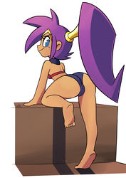 1girls ass barefoot blue_eyes breasts cameltoe clothing dark_skin female highres long_hair nova_rain ponytail purple_hair shantae shantae_(character) signature smile smooth_skin solo toes