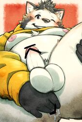 2019 anthro anus ass balls belly blush canid canine erection fingering hi_res humanoid_hands humanoid_penis male male_only mammal masturbation moobs navel nipples noko_illust one_eye_closed penis raccoon_dog slightly_chubby solo tanuki wink