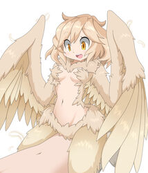 !_!(artist) amauchi blush eyebrows_visible_through_hair feathers fur furred_wings happy_sex harpy mon-musu_quest! monster_girl monster_girl_quest navel open_mouth tan_hair vaginal_penetration wing_harpy wings yellow_eyes