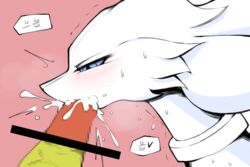 1boy ambiguous_gender bar_censor blue_eyes blush censored cum_in_mouth dragon feral fufucatu furry half-closed_eyes heavy_breathing korean_text mosaic_censoring nintendo oral pink_background pokemon pokemon_bw reshiram scalie solid_censor source_request sweatdrop white_fur