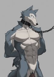 abs angry anthro arms_tied beastars bondage bound canid canine canis collar furry hands_behind_back hi_res leash legoshi_(beastars) male_only mammal maotengo navel nude pecs penis shackles solo wolf