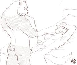 abs age_difference anal anal_sex arvie beastars bed bed_sheet bedding canid canine canis erection furniture giant_panda gouhin legoshi_(beastars) lying male male/male male_only mammal nude on_back pecs penetration penis scar sex table_lotus_position teenager ursid wolf young