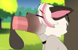 animated anthro berrypunchz blowjob blowjob_face face_fucking feline furry longer_than_2_minutes tagme video