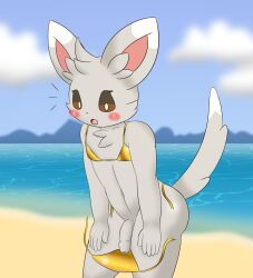 anthro beach blush brown_eyes butt cheek_tuft clothed clothing cloud crossdressing crossdressing_male dipstick_ears dipstick_tail ear_markings emanata facial_tuft femboy flaccid fluffy fluffy_chest foreskin fur generation_5_pokemon genitals gold_swimwear golden_week grey_body grey_fur hands_on_legs head_tuft hi_res humanoid_genitalia humanoid_penis inner_ear_fluff innes_(kamek_sans) kamek_sans male markings minccino multicolored_ears nintendo outside penis penis_base pokemon pokemon_(species) solo tail tail_markings thick_thighs tuft wardrobe_malfunction white_body white_fur