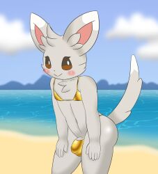 anthro barely_visible_genitalia barely_visible_penis beach blush brown_eyes bulge butt cheek_tuft clothed clothing cloud crossdressing crossdressing_male detailed_bulge dipstick_ears dipstick_tail ear_markings facial_tuft femboy fluffy fluffy_chest fur generation_5_pokemon genitals gold_swimwear golden_week grey_body grey_fur hands_on_legs head_tuft hi_res inner_ear_fluff innes_(kamek_sans) kamek_sans looking_at_viewer male markings minccino multicolored_ears nintendo outside penis penis_base pokemon pokemon_(species) solo tail tail_markings thick_thighs tuft white_body white_fur