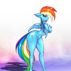 Rainbow Dash (Mlp) Rule 34 Image