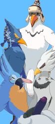 kass (zelda) from nintendo