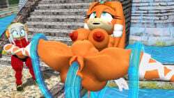 2girls 3d 3d_(artwork) ambiguous_gender anal_penetration anthro belly_inflation blushes chaos_(sonic) echidna enjoying female footwear grabbing handwear handwear_and_footwear_only interspecies mikumikudance mmd nude sega sex silverteam2017 sonic_(series) sonic_adventure sonic_the_hedgehog_(series) surprised_face tikal_the_echidna vaginal_penetration zeta_the_echidna