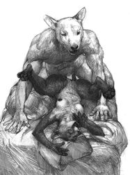 2019 a_inc anthro breasts bull_terrier canid canine canis cougar domestic_dog felid feline female forced hi_res humanoid_penis hunting_dog lying male mammal medium_breasts missionary_position monochrome nipples nude on_back paws penetration penis rape sex size_difference spread_legs spreading terrier traditional_media_(artwork) vaginal_penetration vaginal_penetration