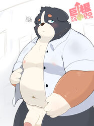 2019 absurd_res anthro belly big_dick_day blush canid canine canis clothing domestic_dog hi_res humanoid_hands japanese_text kwzu male male_only mammal moobs navel nipples overweight overweight_male penis shirt solo text topwear