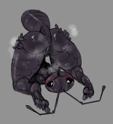 ant ant_girl_(sun_bug) anthro arthropod ass black_body blush bodily_fluids exoskeleton feet female genitals grey_background heart_eyes heart_symbol hi_res hymenopteran insects lying mandibles musk musk_cloud musky_butt non-mammal_vulva nude on_back presenting presenting_hindquarters presenting_vulva simple_background solo steamy_breath sun_bug sweat upside-down vulva