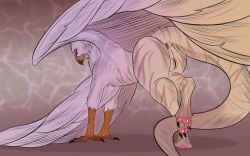 16:10 anus ass avian balls beak claws digital_media_(artwork) ertonhin feathered_wings feathers feet feral fur genitals green_eyes gryphon hi_res looking_at_viewer male markings mythological_avian mythological_creature mythology pawpads paws pink_pawpads simple_background solo striped_markings stripes tail toe_claws toes white_body white_feathers white_fur widescreen wings