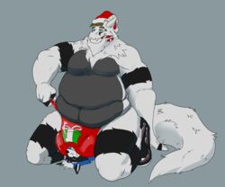 2018 azura_raccoon azuracoon belly boots bulge candy candy_cane christmas clothing dragon food footwear fur furred_dragon hat headgear headwear holidays male male/male mammal procyonid raccoon rubber santa_hat size_difference sketch_the_derg squish