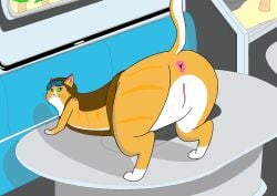 absurd_res animal_genitalia anus ass blizzard_entertainment butt_focus digital_media_(artwork) domestic_cat felid feline felis female feral fika_(overwatch) fur furniture genitals green_eyes hi_res mammal on_table orange_body orange_fur overwatch raised_tail sock_puppeteer sofa solo striped_body striped_fur stripes table tail talking_to_viewer visor vulva white_paws