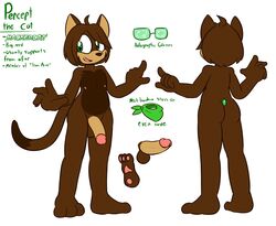 3_toes 5_fingers anthro balls black_nose brown_balls brown_body brown_fur brown_hair character_sheet dipstick_tail domestic_cat english_text erection eyewear fan_character felid feline felino felis fingers fur glasses green_eyes hair hi_res humanoid_penis male mammal mobian_(species) model_sheet multicolored_body multicolored_fur multicolored_tail nipples nude pawpads penis percept_(felino) pink_nipples pink_pawpads reference_sheet simple_background solo solo_male sonic_(series) sonic_oc text toes two_tone_body two_tone_fur white_background