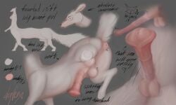 anal animal_genitalia animal_penis anus balls big_breasts big_flare breasts dgf0x equine_genitalia equine_penis erection flaccid flared_penis full-length_portrait genitals herm hi_res hooves hybrid intersex long_penis penis peony_(dgf0x) portrait raised_tail solo tail taur text white_body