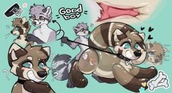 absurd_res anthro blush collar duo eyewear genitals glasses hi_res jono knot leash leash_pull leashed_collar male mammal okietheraccoon penetration penis pool_toy pooltoy_transformation procyonid raccoon sonnendemon text transformation