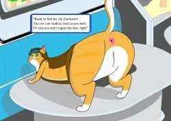 absurd_res animal_genitalia anus ass blizzard_entertainment butt_focus dialogue digital_media_(artwork) dirty_talk domestic_cat english_text explicit_text felid feline felis female feral fika_(overwatch) fur furniture genitals green_eyes hi_res mammal on_table orange_body orange_fur overwatch raised_tail sock_puppeteer sofa solo speech_bubble striped_body striped_fur stripes table tail talking_to_viewer text visor vulva white_paws