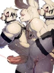 anal anal_orgasm anal_sex anthro bodily_fluids canid canine canis cum cum_from_nose cum_in_ass cum_in_mouth cum_in_nose cum_inside cumshot duo ejaculation excessive_sweat eye_roll fellatio genital_fluids genitals glans hands-free hi_res humanoid_genitalia humanoid_penis male male/male mammal mihoyo muscular muscular_anthro muscular_male mymu666 open_mouth oral orgasm penetration penile penile_penetration penis penis_in_ass sex thiren tongue tongue_out von_lycaon wolf zenless_zone_zero