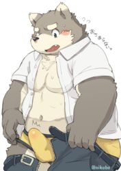 2016 blush bulge canid canine canis clothing domestic_dog erection erection_under_clothing hi_res japanese_text male male_only mammal nikubo signature simple_background solo text translated white_background