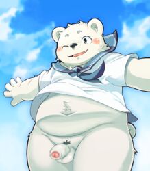 2015 anthro balls blush bottomless censored clothed clothing hi_res male male_only mammal nikubo overweight penis pubes sky slightly_chubby smile solo ursid