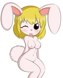 carrot (one piece) from one piece by dreameclipsewolf