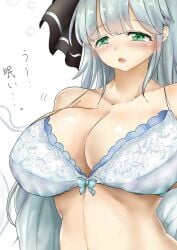 big_breasts female poke200 tagme touhou underwear youmu_konpaku