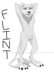 2019 anatomically_correct animal_genitalia animal_penis anthro balls digitigrade feet felid flaccid flint_the_blion flintblion fur hi_res hybrid lion male male_only mammal mane monochrome nude pantherine penis pose presenting sheath smile solo standing ursid